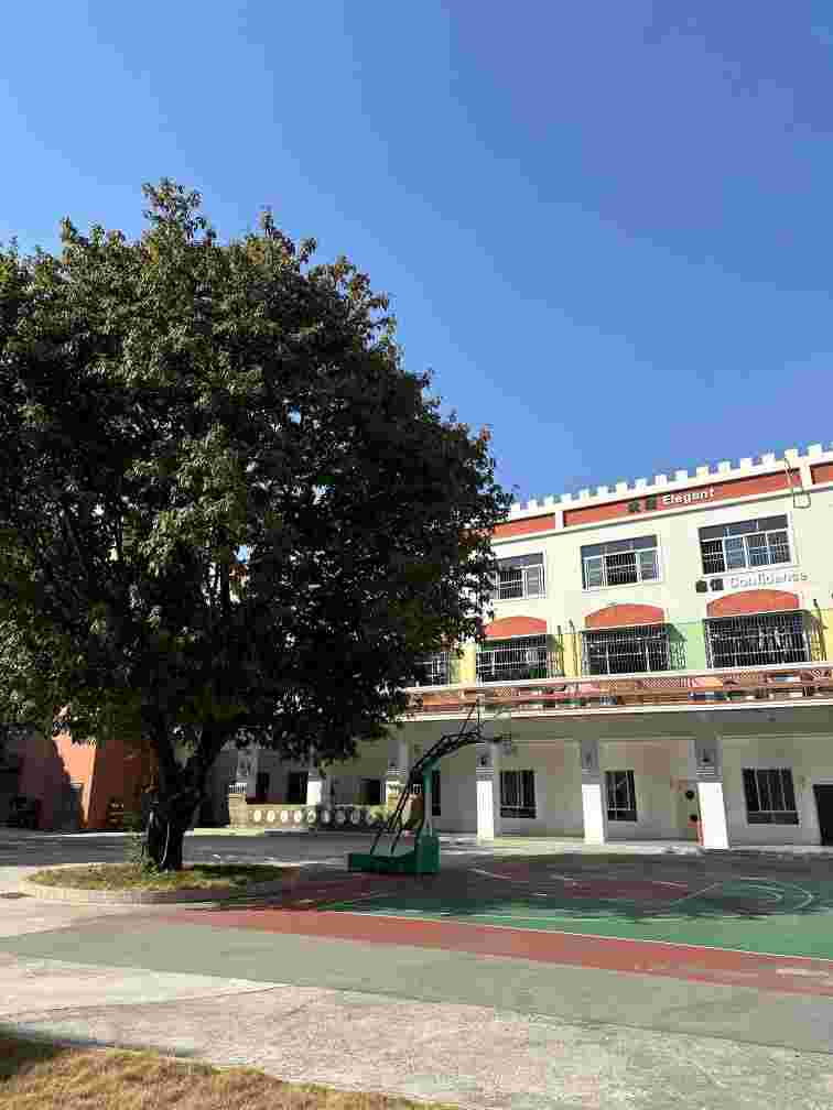 广东省广州市不听话孩子训练学校怎么选？三大避坑指南家长必看