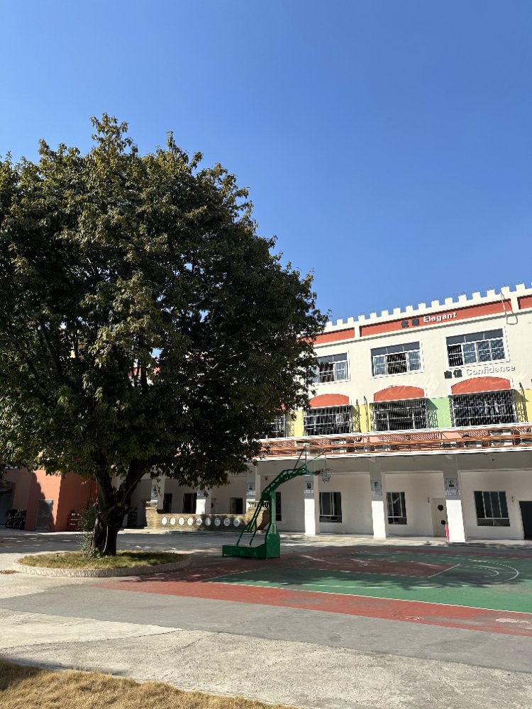 广州青少年特训学校怎么选?家长必看的5个避坑指南