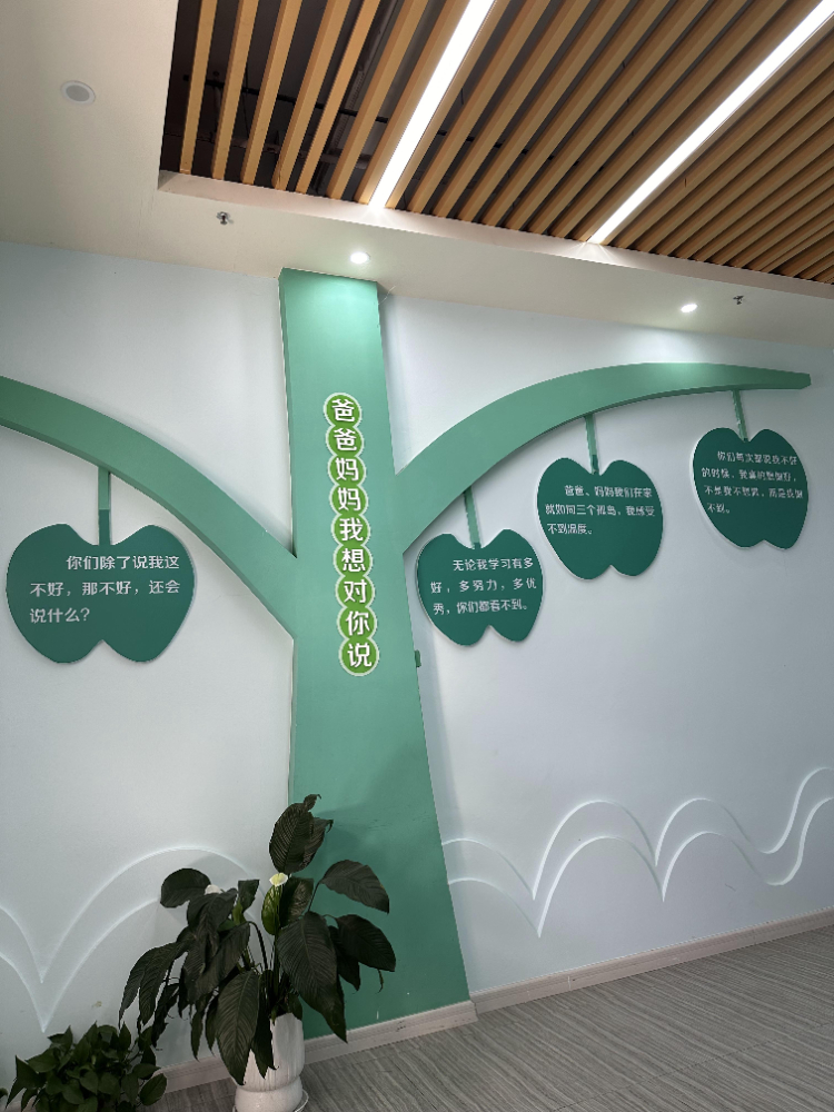 广州番禺管教学校费用透明解读：树同教育如何保障安全与成长？
